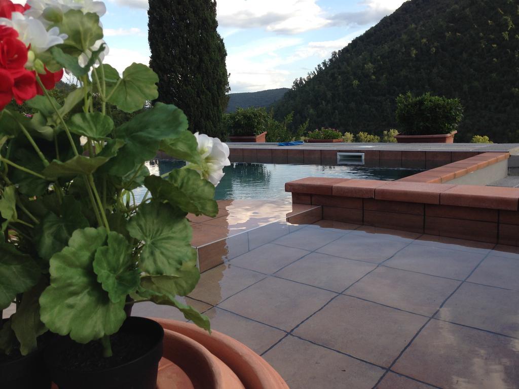 Tenuta Dei Cavalieri Molino del Piano Luaran gambar