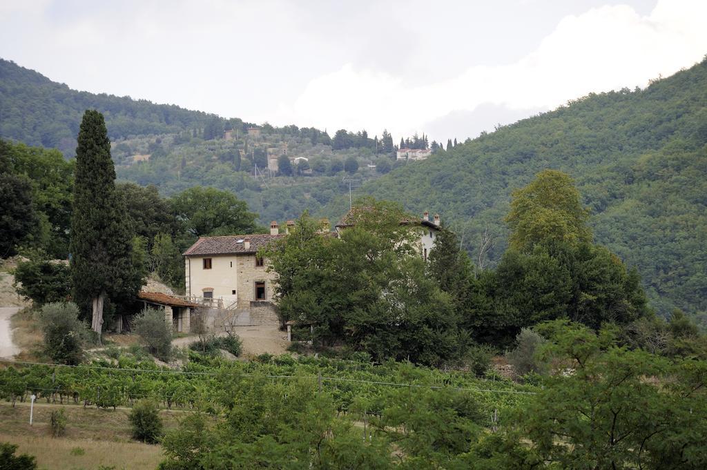 Tenuta Dei Cavalieri Molino del Piano Luaran gambar