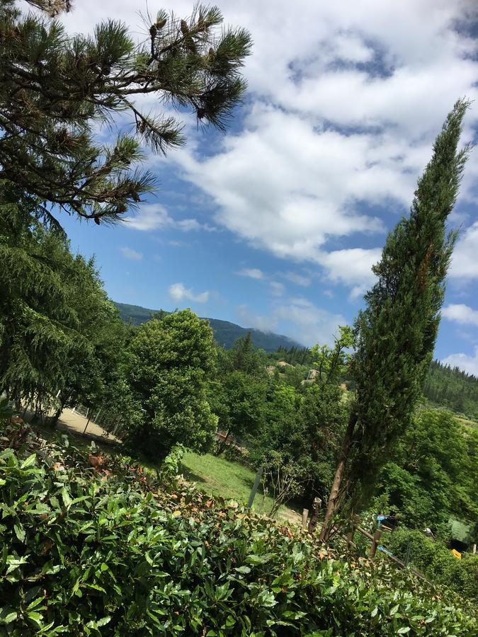 Tenuta Dei Cavalieri Molino del Piano Luaran gambar