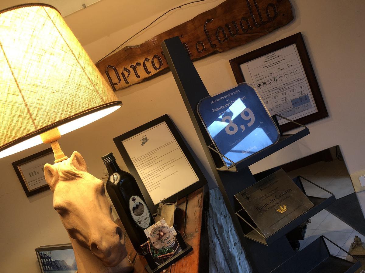 Tenuta Dei Cavalieri Molino del Piano Luaran gambar